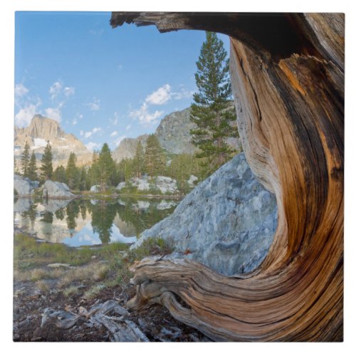 Inyo National Forest California Ceramic Tile