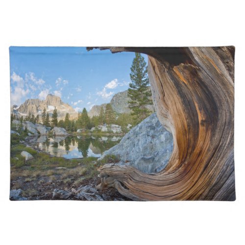 Inyo National Forest California Cloth Placemat