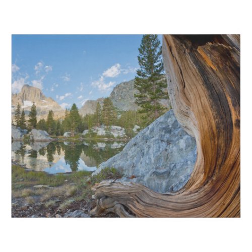 Inyo National Forest California Faux Canvas Print