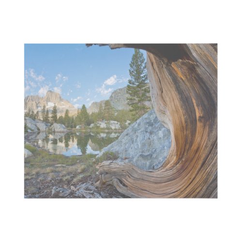 Inyo National Forest California Gallery Wrap