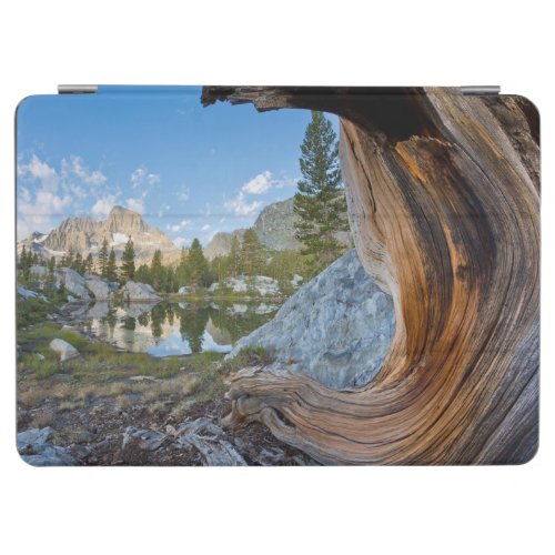 Inyo National Forest California iPad Air Cover