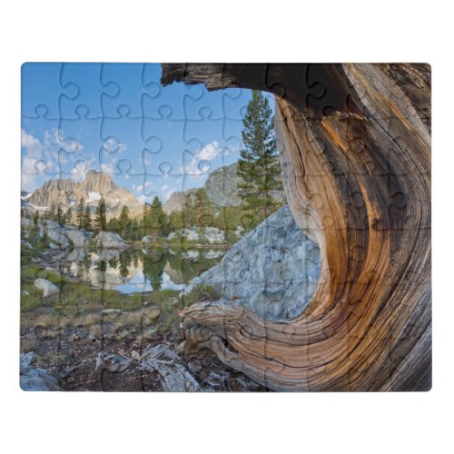 Inyo National Forest California Jigsaw Puzzle
