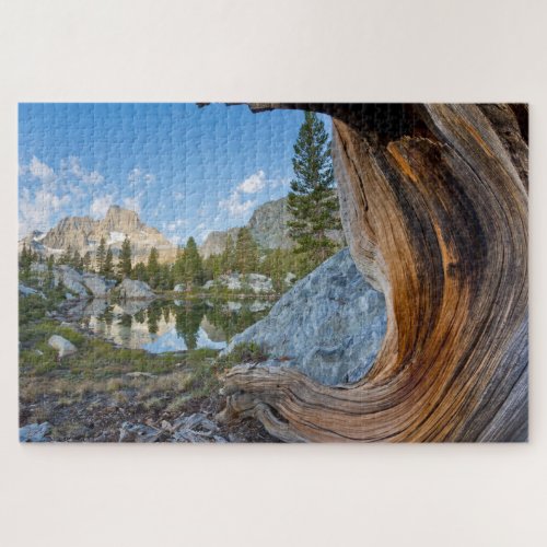 Inyo National Forest California Jigsaw Puzzle