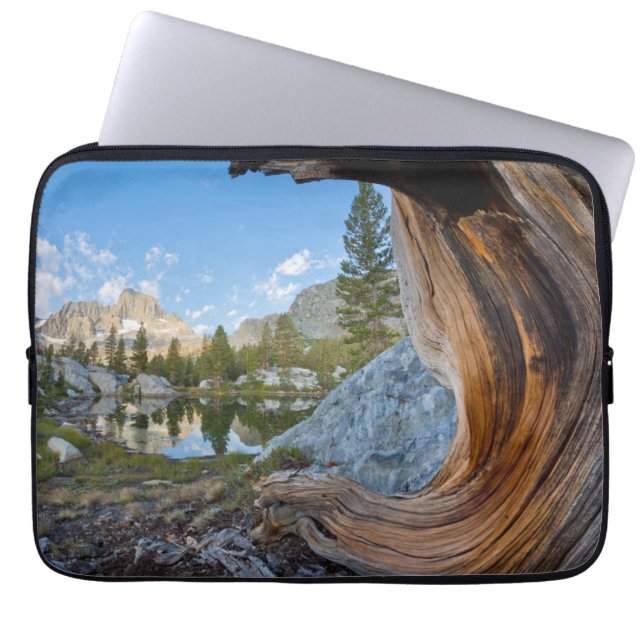 Inyo National Forest, California Laptop Sleeve (Front)