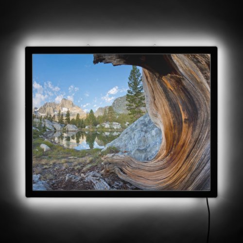 Inyo National Forest California LED Sign