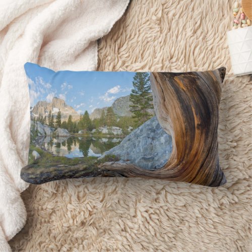 Inyo National Forest California Lumbar Pillow