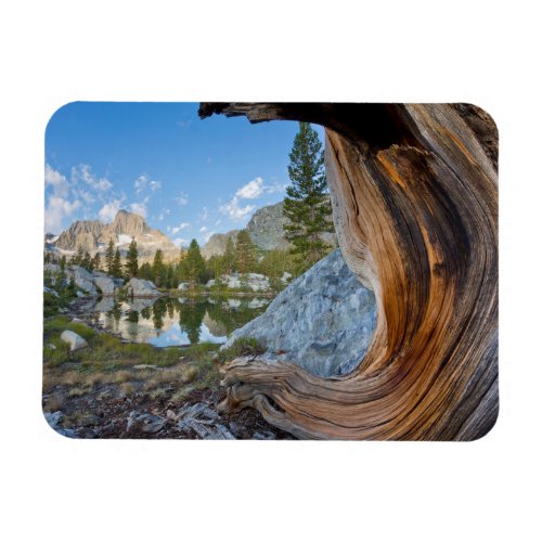 Inyo National Forest California Magnet
