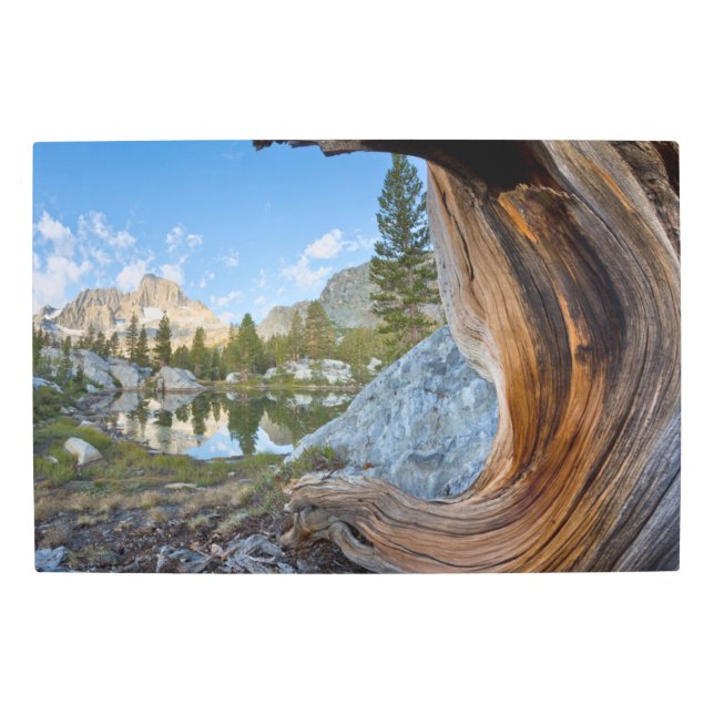 Inyo National Forest, California Metal Print (Front)