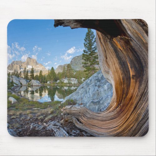 Inyo National Forest California Mouse Pad