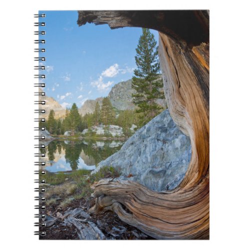 Inyo National Forest California Notebook
