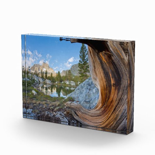 Inyo National Forest California Photo Block