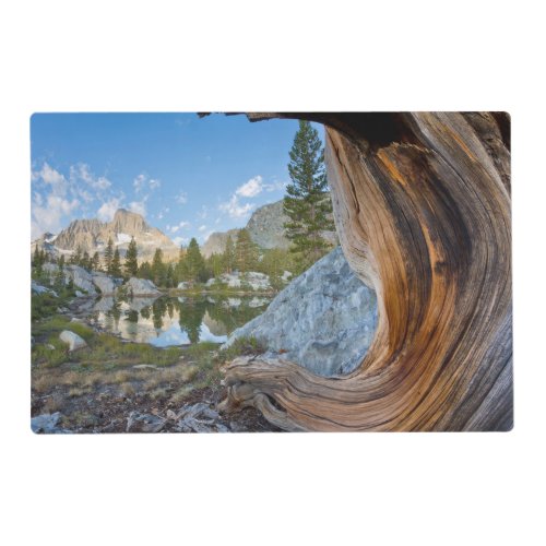 Inyo National Forest California Placemat
