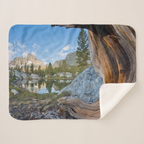 Inyo National Forest California Sherpa Blanket