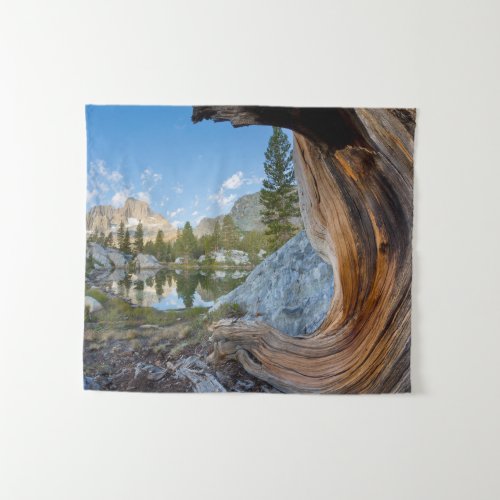 Inyo National Forest California Tapestry