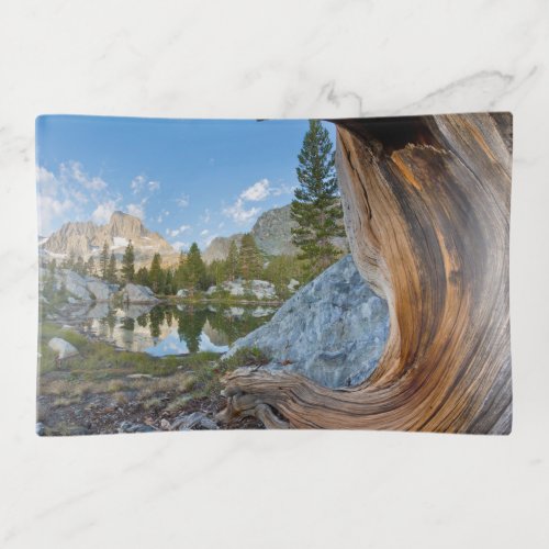 Inyo National Forest California Trinket Tray