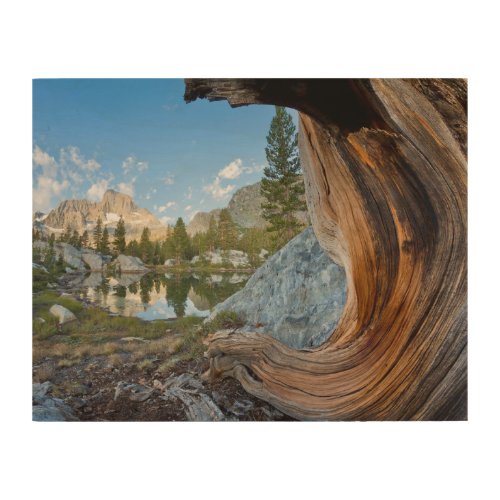 Inyo National Forest California Wood Wall Art