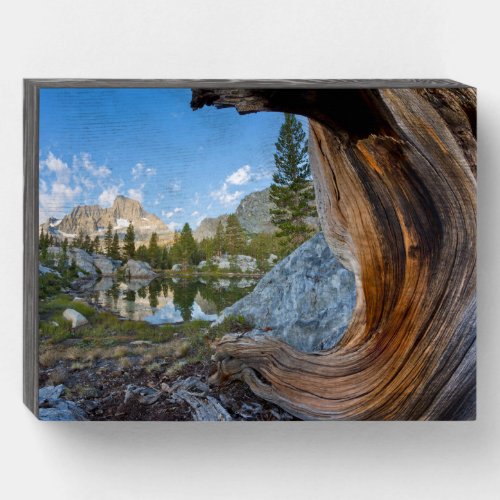 Inyo National Forest California Wooden Box Sign