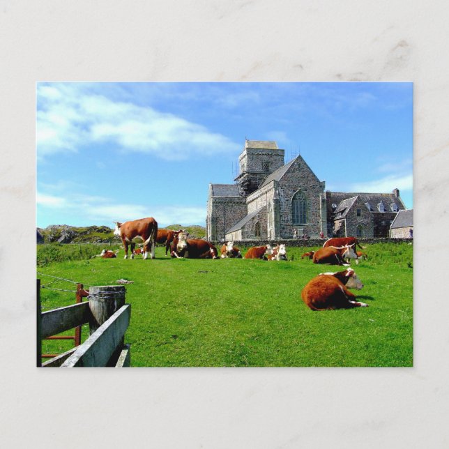 Iona Abbey Postcard (Front)