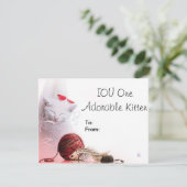 IOU One Adorable Kitten (Standing Front)