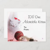 IOU One Adorable Kitten (Front/Back)