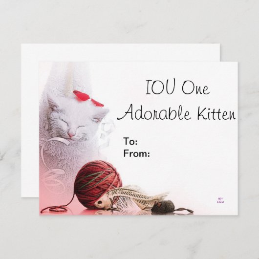 IOU One Adorable Kitten (Front/Back)