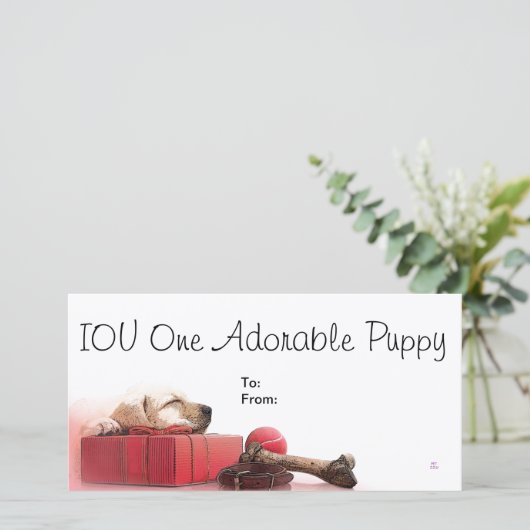 IOU One Adorable Puppy (Standing Front)