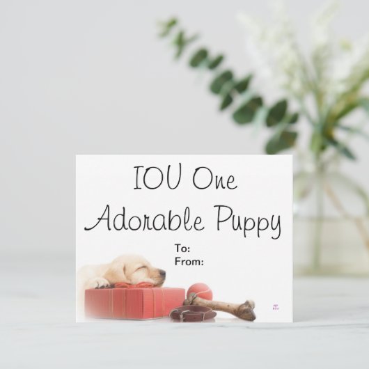 IOU One Adorable puppy (Standing Front)