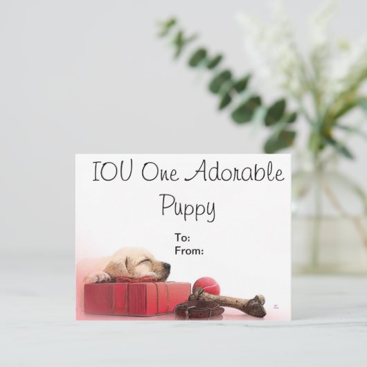 IOU One Adorable Puppy (Standing Front)