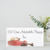 IOU One Adorable Puppy (Standing Front)