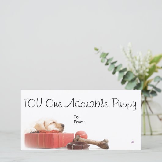 IOU One Adorable Puppy (Standing Front)
