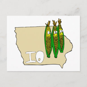 Iowa Corn Fields Postcard