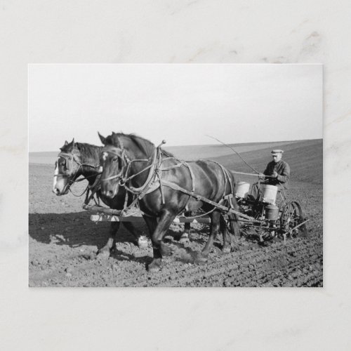 Iowa Corn Planter 1940s Postcard