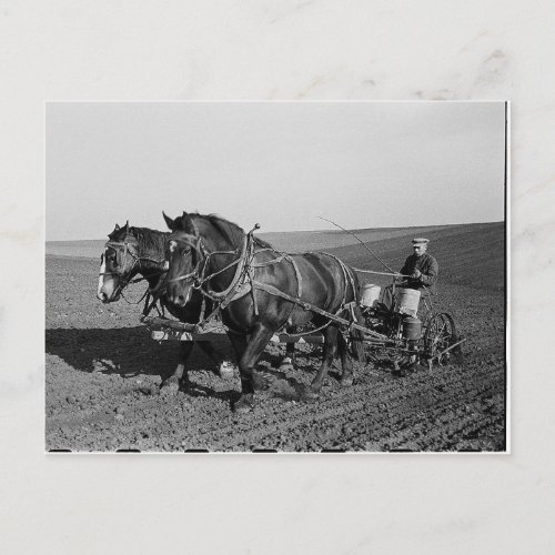 Iowa Corn Planting Postcard