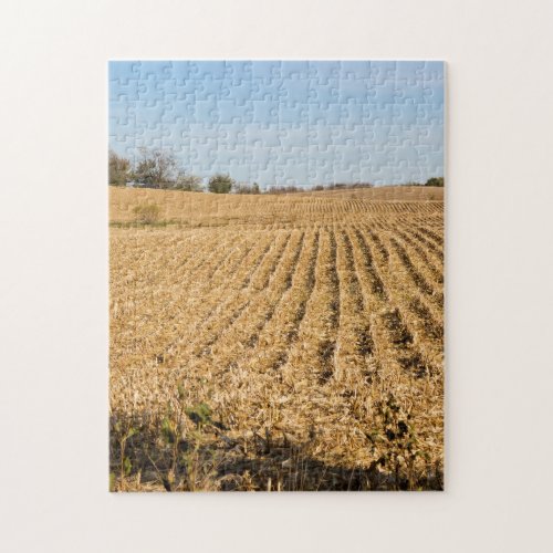Iowa Cornfield Panorama Jigsaw Puzzle