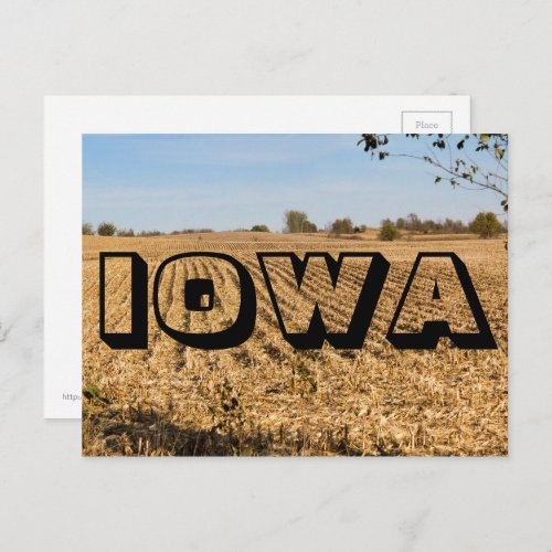 IOWA Cornfield Panorama Panoramic Scenery Photo Postcard