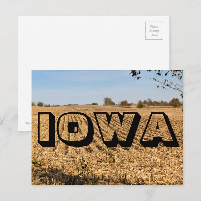 IOWA Cornfield Panorama Panoramic Scenery Photo Postcard (Front/Back)