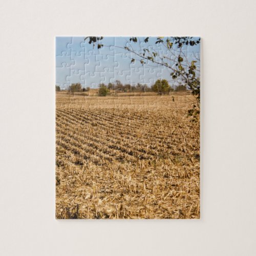 Iowa Cornfield Panorama Photo Jigsaw Puzzle