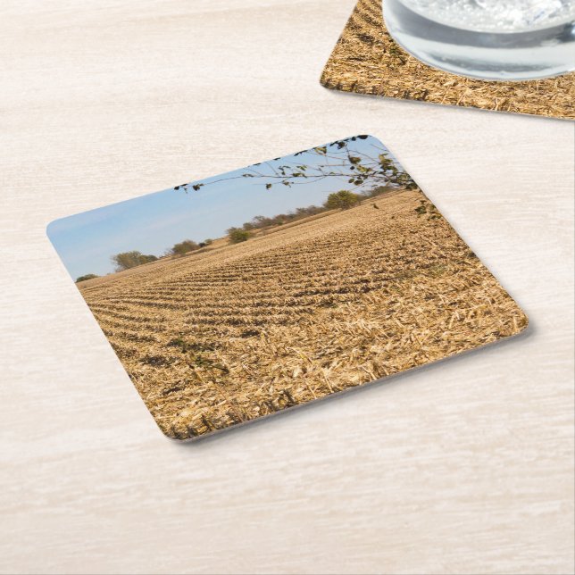 Iowa Cornfield Panorama Photo Square Paper Coaster (Angled)