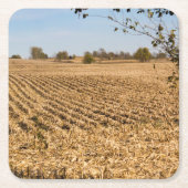 Iowa Cornfield Panorama Photo Square Paper Coaster (Front)