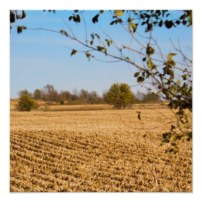 Iowa Cornfield Panorama Photo v3 Poster (Front)