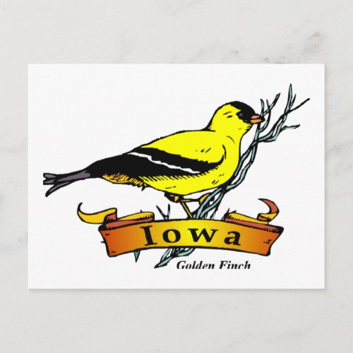 Iowa Goldfinch Postcard