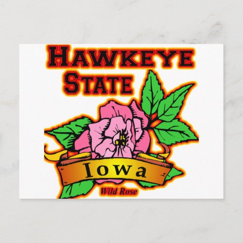 Iowa Hawkeye State Wild Rose Postcard