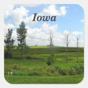 Iowa Square Sticker