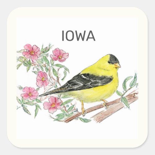 Iowa state bird and flower square sticker