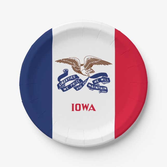Iowa State Flag Paper Plates (Front)