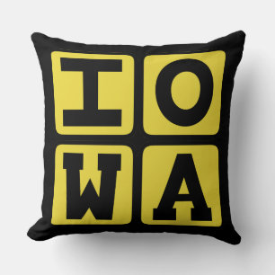 IOWA State Iowan Hawkeye Des Moines Cedar Rapids Throw Pillow