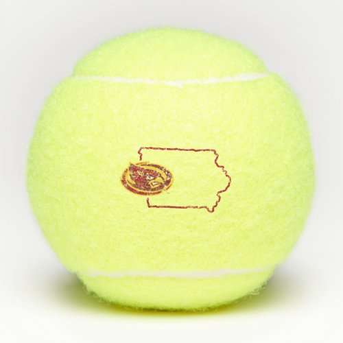 Iowa State Logo Distressed Tennis Balls