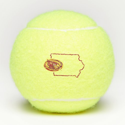 Iowa State Logo Distressed Tennis Balls