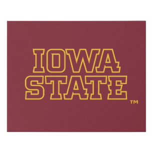 Iowa State University   Block Design Faux Canvas Print