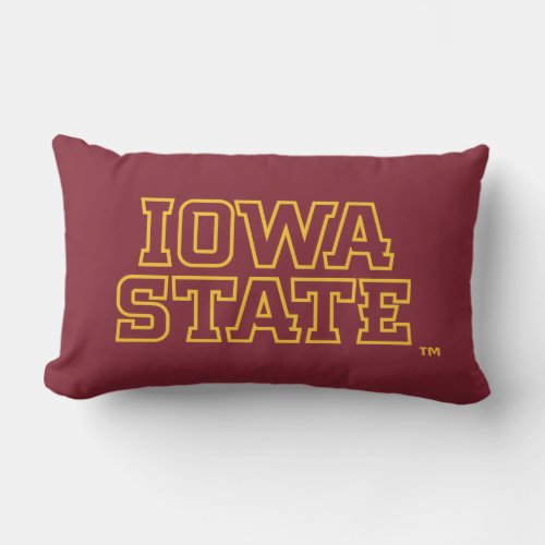 Iowa State University  Block Design Lumbar Pillow